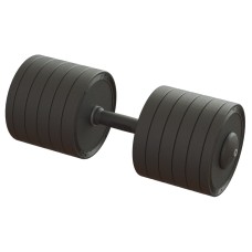 Гантель професійна 55 кг BruStyle TC126-55PL