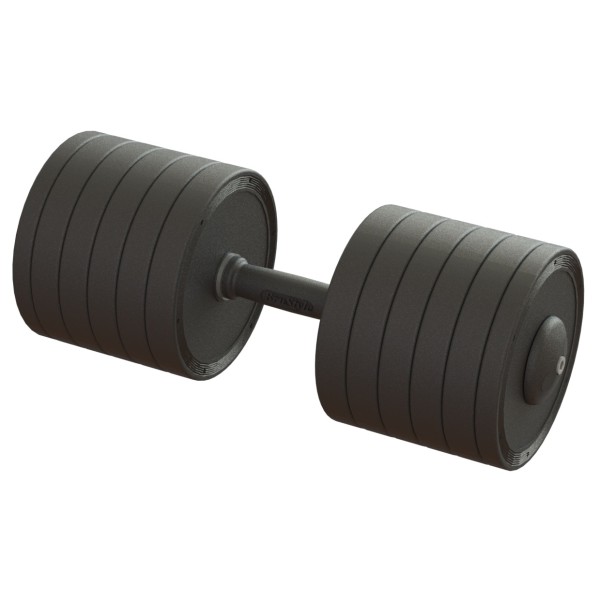 Гантель професійна 55 кг BruStyle TC126-55PL