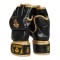 Рукавички MMA XL Aureos Valor Series DBX BUSHIDO