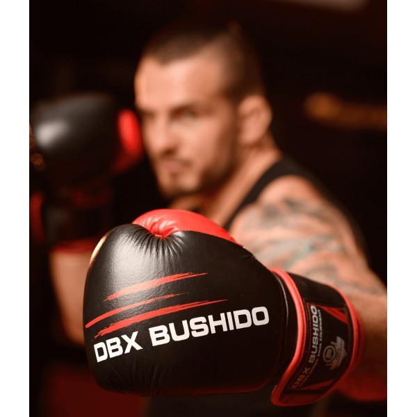 Боксерські рукавички DBX BUSHIDO Ninja Legacy Series 16oz чорно-червоні