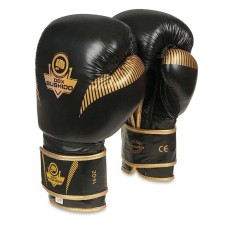 Боксерські рукавички DBX BUSHIDO Aureos Valor Series 16oz