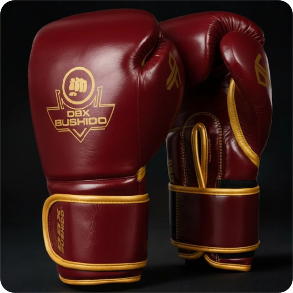 Боксерські рукавички DBX BUSHIDO ProFighter Cherry
