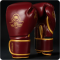 Боксерські рукавички DBX BUSHIDO ProFighter Cherry