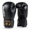 Боксерські рукавички DBX BUSHIDO 4Fighter Black 6oz чорно-золоті