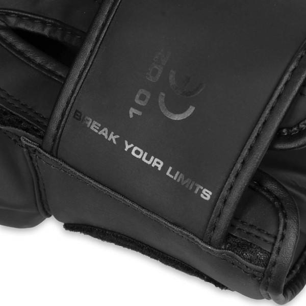 Боксерські рукавички DBX BUSHIDO Raptor 12oz, Origin Series, матово-чорні з глянцевим візерунком