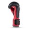 Боксерські рукавички DBX BUSHIDO 4Fighter Red 6oz червоно-чорні