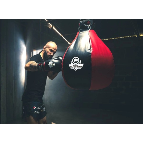 Боксерська груша XXL DBX Bushido SK25, 25кг