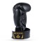 Боксерські рукавички DBX BUSHIDO 4Fighter Black 6oz чорно-золоті