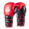 Боксерські рукавички DBX BUSHIDO Warrior RED з натуральної шкіри