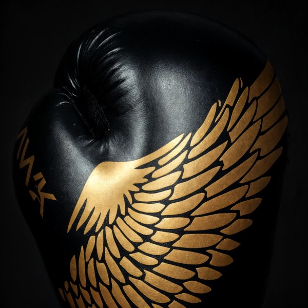 Боксерські рукавички DBX BUSHIDO HAWK 16oz Origin Series