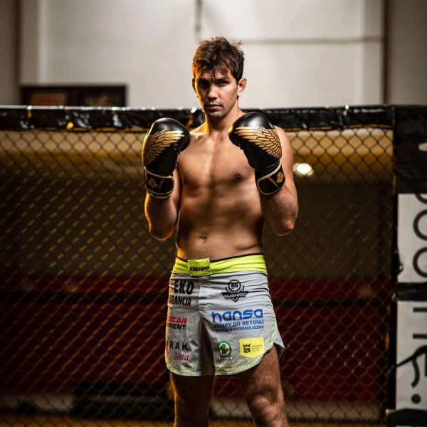 Боксерські рукавички DBX BUSHIDO HAWK Origin Series 12oz