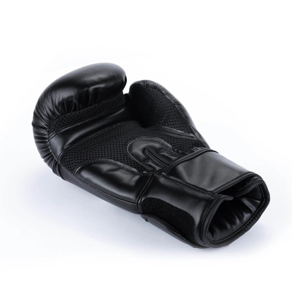 Рукавички для боксу DBX BUSHIDO Classic Black 14oz