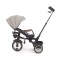 Триколісний велосипед Milly Mally Twinkle Grey