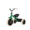 Дитячий триколісний велосипед Qplay Elite Pro Green