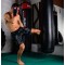 Рукавички для боксу DBX BUSHIDO Blaze Red Legacy Series 12oz