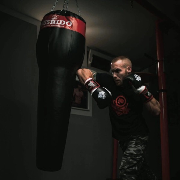 Боксерський мішок DBX Bushido, підвісний, 140см, 40кг