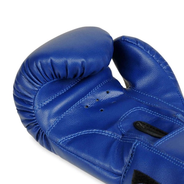 Боксерські рукавички DBX BUSHIDO 4Fighter Blue 6oz, сині