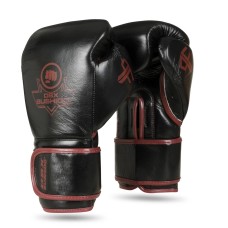 Боксерські рукавички DBX BUSHIDO ProFighter Bordeaux, 6-шарові