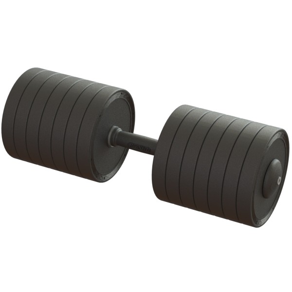 Гантель професійна 70 кг BruStyle TC126-70PL