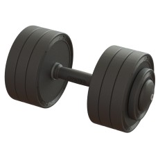 Гантель професійна 32 кг BruStyle TC126-32PL