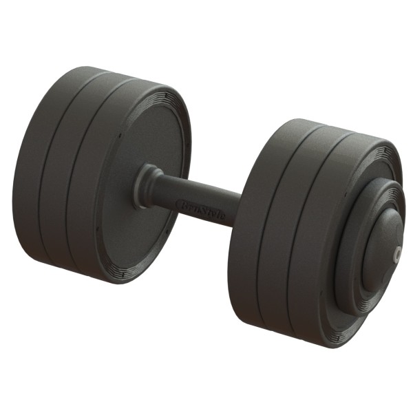 Гантель професійна 32 кг BruStyle TC126-32PL