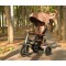 Триколісний велосипед Qplay Rito Deluxe Rubber Brown