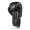 Боксерські рукавички DBX BUSHIDO Striker Legacy Series 12oz