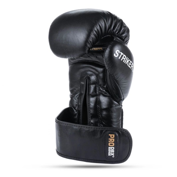 Боксерські рукавички DBX Bushido Striker Legacy Series 14oz