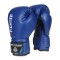 Боксерські рукавички DBX BUSHIDO 4Fighter Blue 6oz, сині
