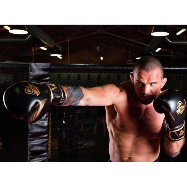 Боксерські рукавички DBX BUSHIDO Aureos Valor Series 16oz