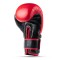 Боксерські рукавички DBX BUSHIDO Warrior RED з натуральної шкіри