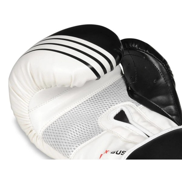 Боксерські рукавички DBX BUSHIDO Edge 10oz