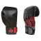 Боксерські рукавички DBX BUSHIDO Hammer Red Valor Series 12oz