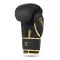 Боксерські рукавички DBX BUSHIDO Gold Dragon Valor Series 14oz чорні із золотим драконом