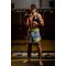 Боксерські рукавички DBX BUSHIDO Hammer Red 14oz, Valor Series