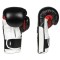 Боксерські рукавички DBX BUSHIDO Phantom White Valor Series 10oz