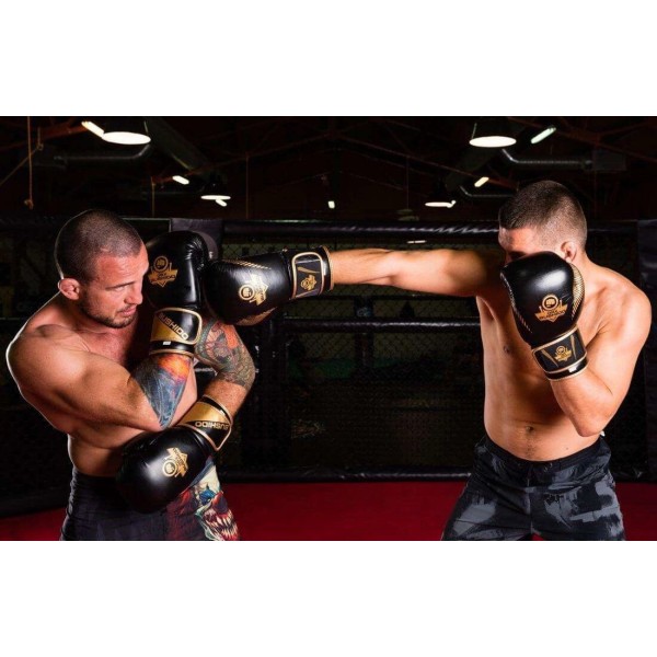 Рукавички для боксу DBX BUSHIDO Aureos Valor Series 12oz
