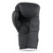 Боксерські рукавички DBX BUSHIDO Hammer Black Valor Series 10oz