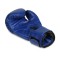 Боксерські рукавички DBX BUSHIDO 4Fighter Blue 6oz, сині