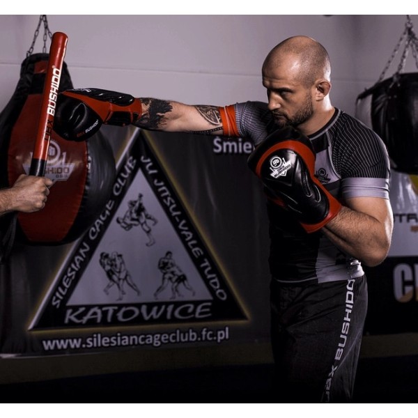Рукавички для боксу DBX BUSHIDO Blaze Red Legacy Series 12oz