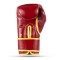 Боксерські рукавички DBX BUSHIDO ProFighter Cherry