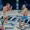 Рукавички MMA DBX BUSHIDO Harmony XL, серія Valor Series