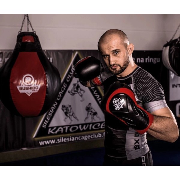 Боксерські рукавички DBX BUSHIDO Blaze Red Legacy Series 14oz