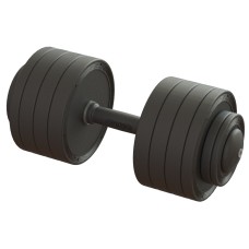 Гантель професійна 38 кг BruStyle TC126-38PL