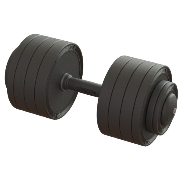Гантель професійна 38 кг BruStyle TC126-38PL