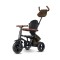 Триколісний велосипед Qplay Rito Deluxe Rubber Brown