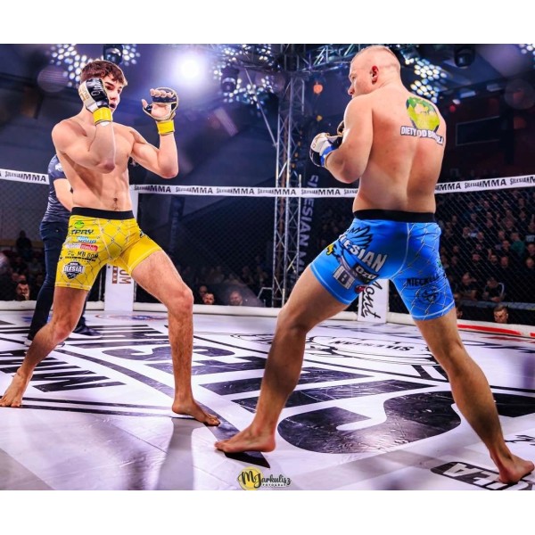 Рукавички MMA для спарингу DBX BUSHIDO Undefeated Valor Series L/XL