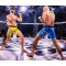 Рукавички MMA для спарингу DBX BUSHIDO Undefeated Valor Series L/XL