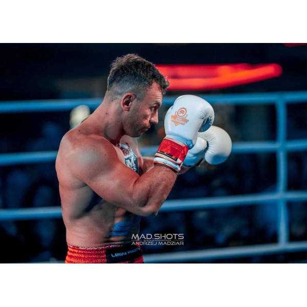 Боксерські рукавички DBX BUSHIDO Spirit 14oz, серія Valor