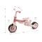 Триколісний велосипед Milly Mally Zippy 5в1 Pink